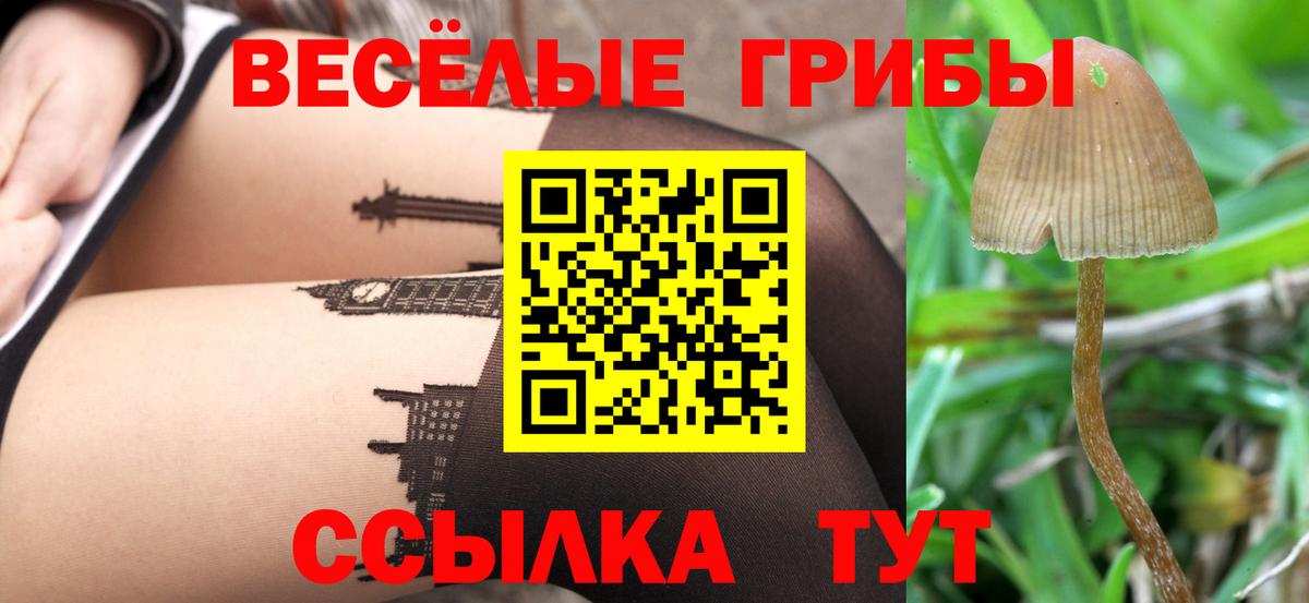 Псилоцибиновые грибы Cubensis  Псилоцибиновые грибы мухоморы  Октябрьский  Вход с VPN 